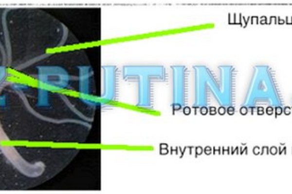 Как восстановить пароль на кракене