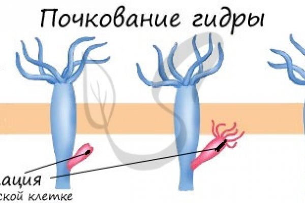 Кракен 2krnk